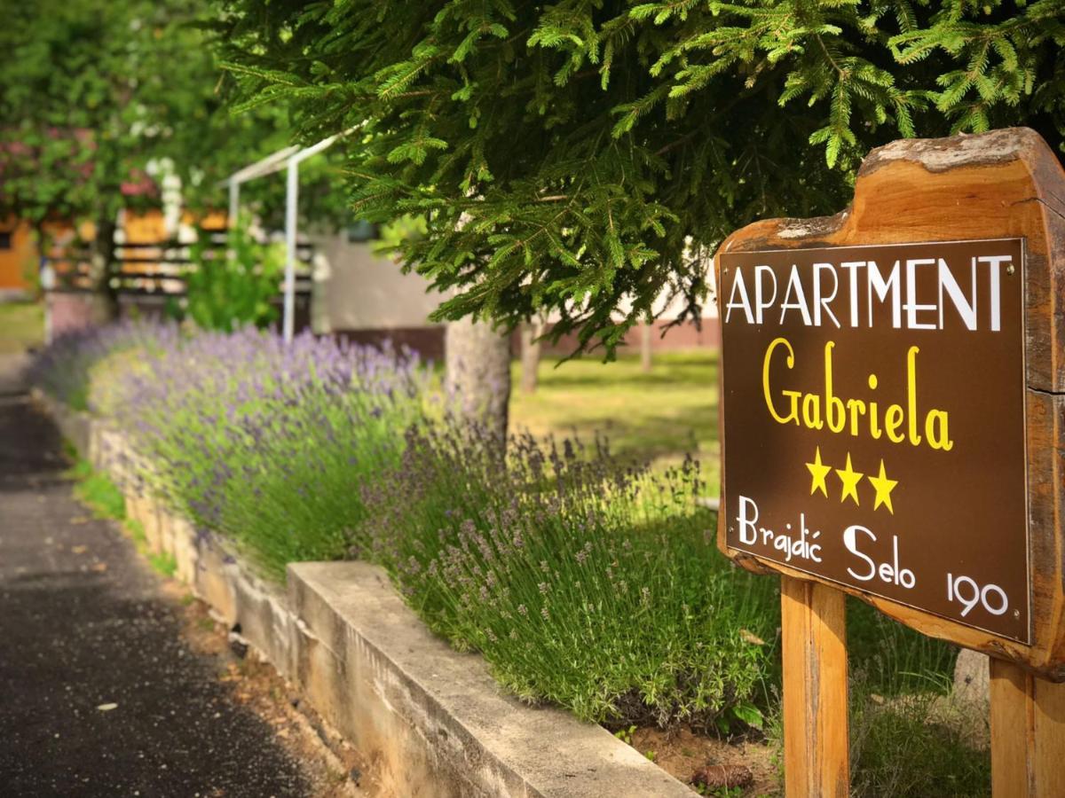Apartment Gabriela Rakovica Kültér fotó